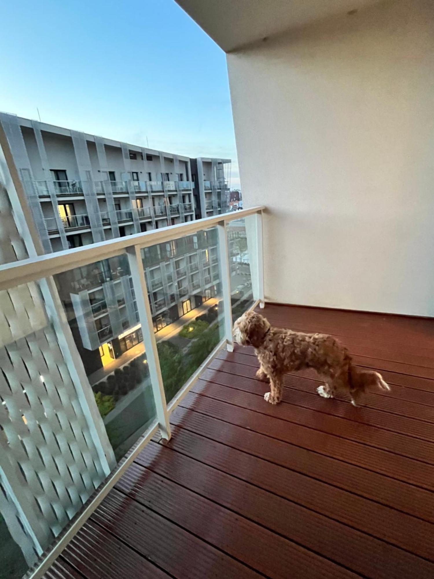 Family House By The River Odra -Panoramic Terrace - 3Room Apartment With 2 Separate Bedrooms And 2 Balconies By Wroapart-Pl- Perfect For Family & Business Stays Wroclaw Bagian luar foto